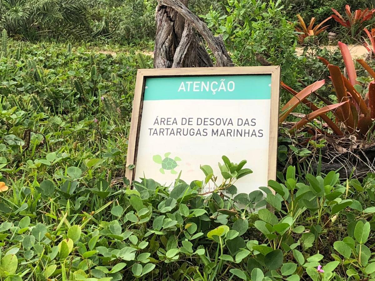 Victor Hugo Pousada Com Natura E L'Occitane Santo Andre  Ngoại thất bức ảnh