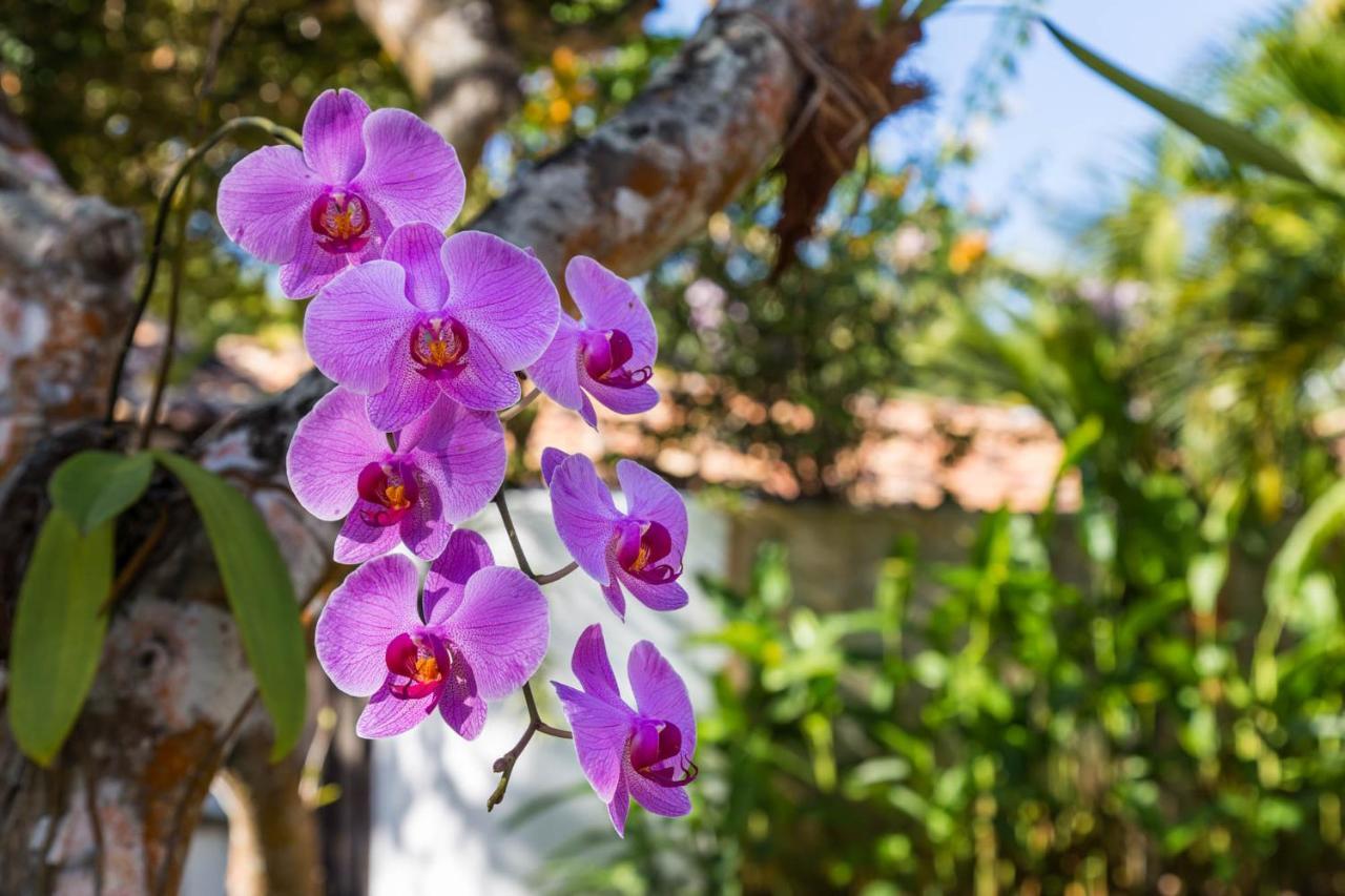 Victor Hugo Pousada Com Natura E L'Occitane Santo Andre  Ngoại thất bức ảnh